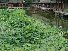 -龙潭水乡
