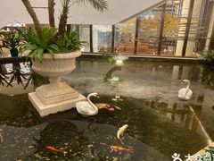 -白天鹅宾馆·流浮阁咖啡厅