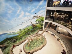 -辽宁古生物博物馆