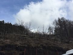 -富士山吉田線五合目