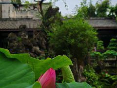 -桂湖森林公园