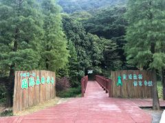 -广州市石门国家森林公园