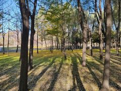 -长春公园(普阳街道)