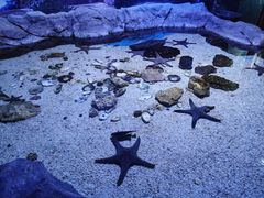 -多彩贵州城极地海洋世界