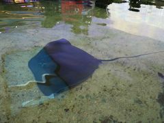 -鸿通城购物中心