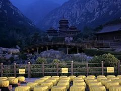 -禅宗少林·音乐大典