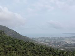 -三亚亚龙湾人间天堂鸟巢度假村
