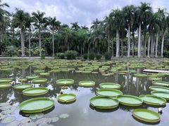 -中国科学院西双版纳热带植物园