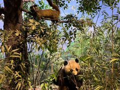 -陕西自然博物馆