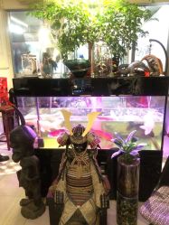 -周忆刺青原创设计定制