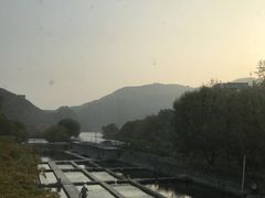 -天源渔港农庄