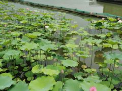 -湘湖大院(越王路店)