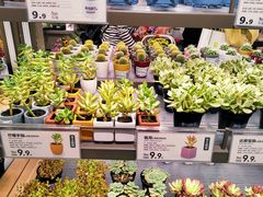 -鹿岛生活(熙地港店)
