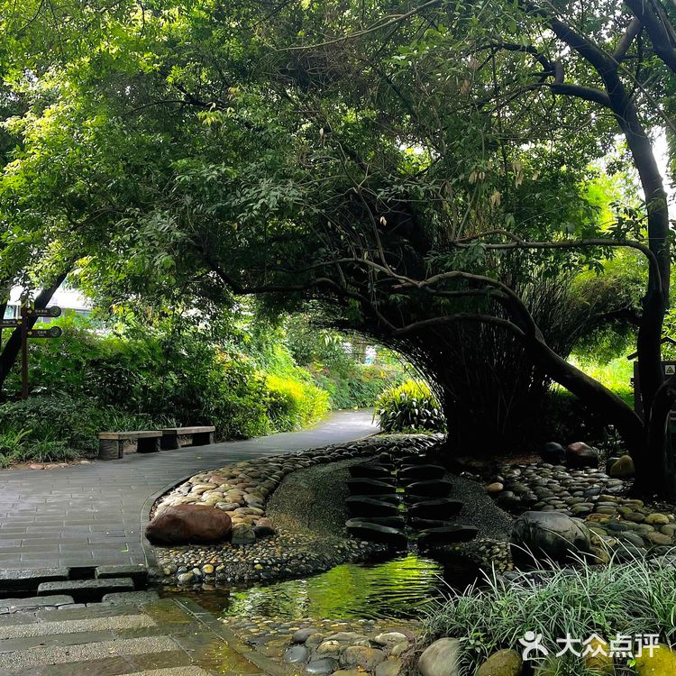 成都活水公园｜悄悄咪咪告诉你出片巨好看🧸