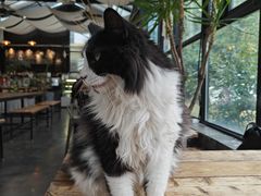 -北马山庄植趣咖啡