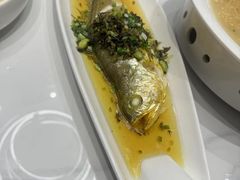 -老绍兴养和饭店(向阳不夜城店)