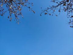 -河南财经政法大学(郑东校区)