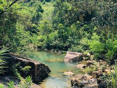 -广州白江湖森林公园