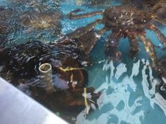-盒马鲜生(宝地店)