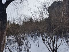 -成吉思汗公园