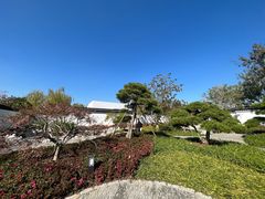 -上海滨江森林公园