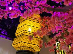 -今朝桃花醉川菜小酒馆(龙湖天街店)