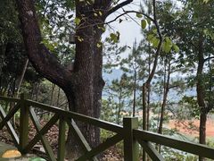 -广州市流溪河国家森林公园