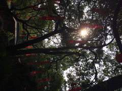 法喜寺-杭州上天竺法喜讲寺