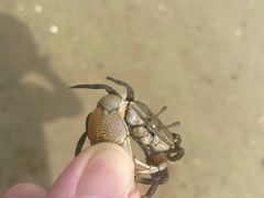 -烧蠔帮·生蚝海鲜牌档(观海店)