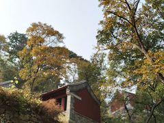 -北京上方山国家森林公园