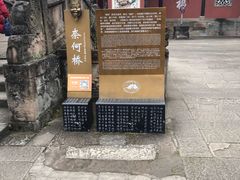 -丰都鬼城名山景区