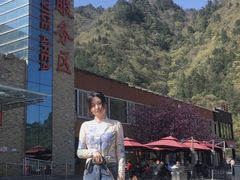 -宠物寄养训练学校