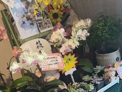 -EGO原创机械密室逃脱(朝阳大悦城2店)