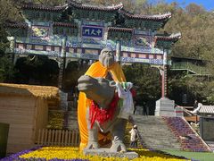 -老君山风景名胜区