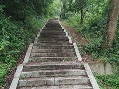 -青龙山国家森林公园