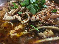 -飞鱼&摩娜潜水度假村