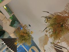 -春树下·树屋花房西餐厅(罍街AS1980店)