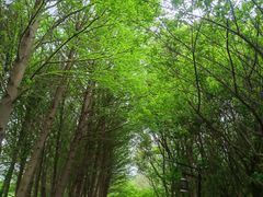 -苏州太湖国家湿地公园