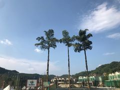 -重庆海昌加勒比海水世界