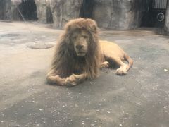-南昌动物园