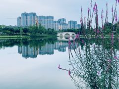 -眉山湿地公园(东坡区)