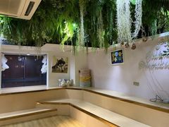 -Husky Go! 哈士奇体验馆·宠物咖啡厅狗咖