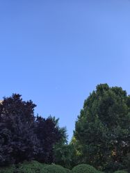 -绿野星空儿童乐园