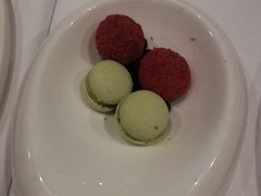 -蝶舍·MAISON PAPILLON