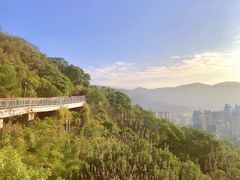 -金鸡山公园