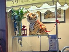 -La Medina餐厅(亮马河南路店)