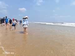 -日照海滨国家森林公园