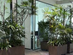 -大视光学•LINDBERG林德伯格•全球手工眼镜集合店(王府井店)