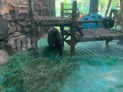 -五龙山野生动物王国