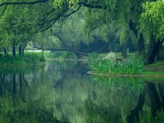 -上海共青森林公园